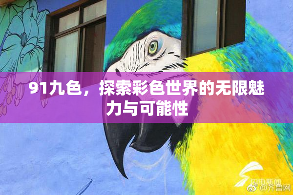 91九色，探索彩色世界的无限魅力与可能性