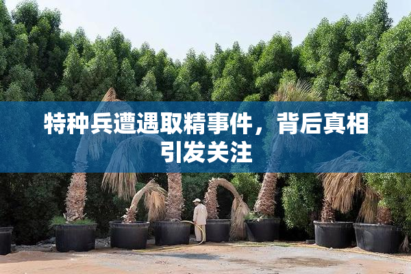 特种兵遭遇取精事件，背后真相引发关注