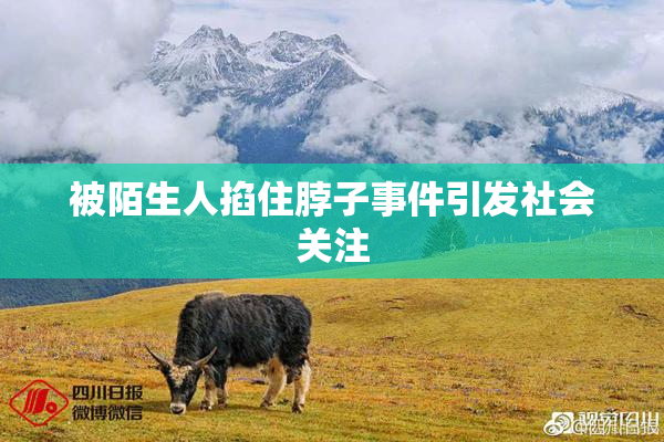 被陌生人掐住脖子事件引发社会关注