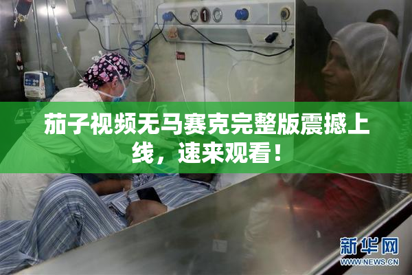 茄子视频无马赛克完整版震撼上线，速来观看！