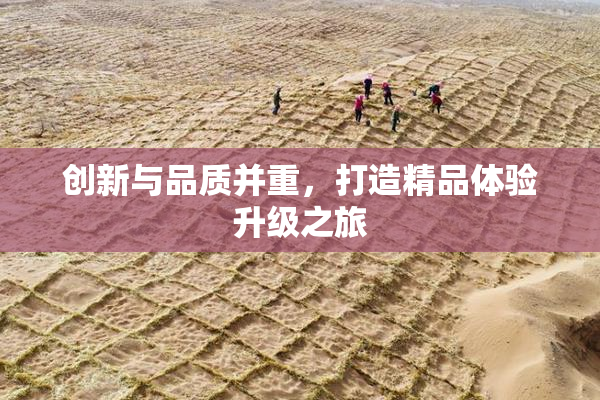 创新与品质并重，打造精品体验升级之旅