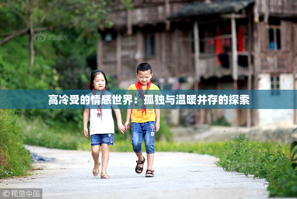 高冷受的情感世界：孤独与温暖并存的探索