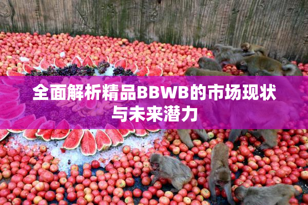 全面解析精品BBWB的市场现状与未来潜力