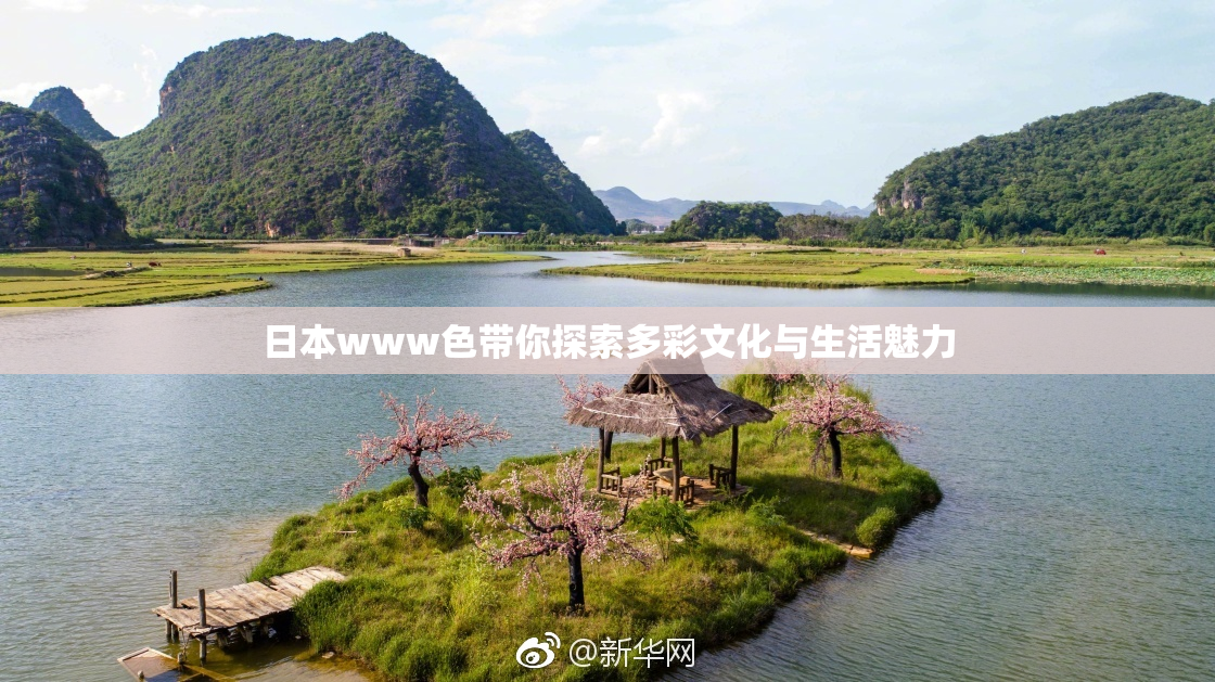 日本www色带你探索多彩文化与生活魅力