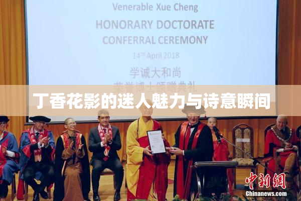 丁香花影的迷人魅力与诗意瞬间