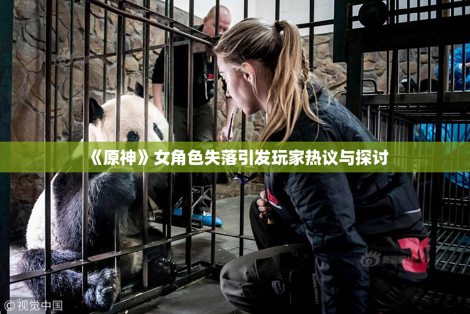 《原神》女角色失落引发玩家热议与探讨
