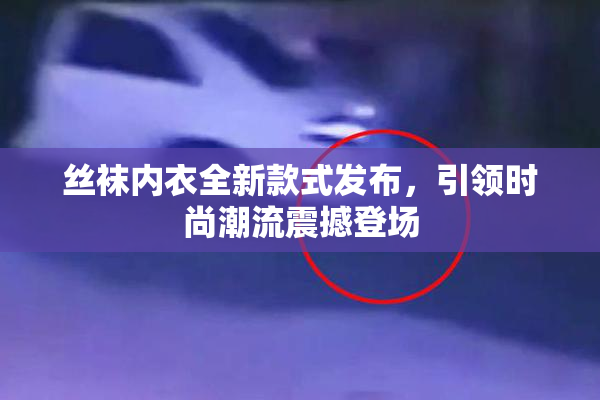 丝袜内衣全新款式发布，引领时尚潮流震撼登场