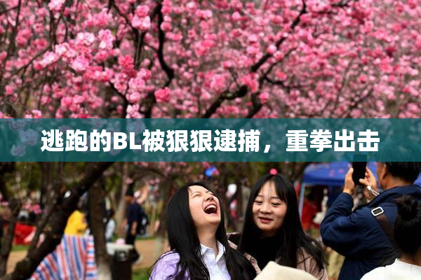 逃跑的BL被狠狠逮捕，重拳出击