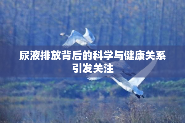 尿液排放背后的科学与健康关系引发关注