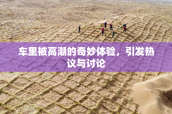 车里被高潮的奇妙体验，引发热议与讨论