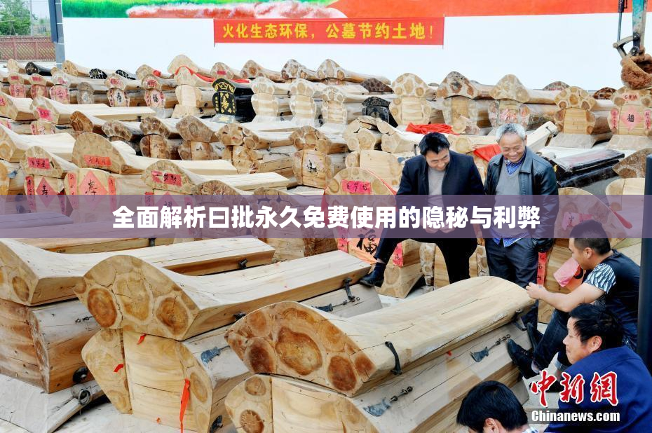 全面解析曰批永久免费使用的隐秘与利弊