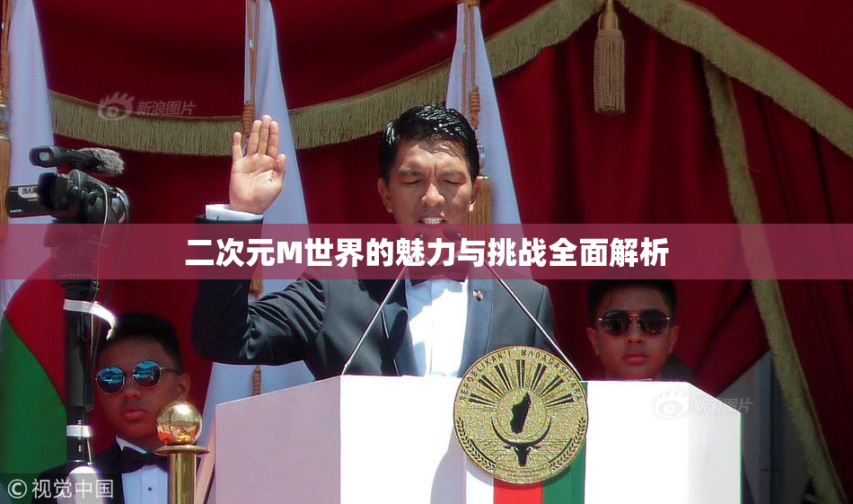 二次元M世界的魅力与挑战全面解析