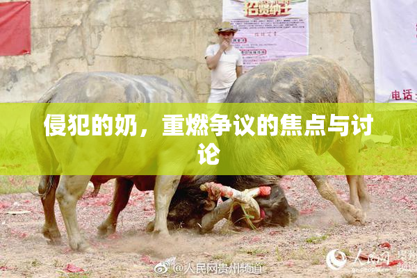侵犯的奶，重燃争议的焦点与讨论