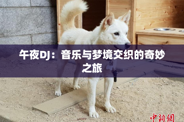 午夜DJ：音乐与梦境交织的奇妙之旅