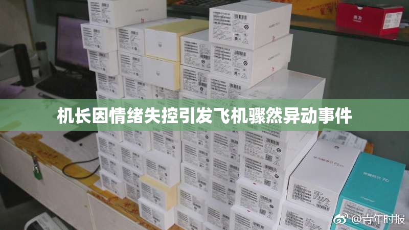 机长因情绪失控引发飞机骤然异动事件