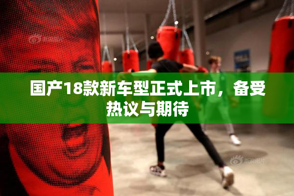 国产18款新车型正式上市，备受热议与期待