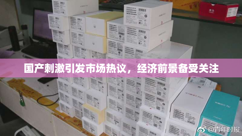 国产刺激引发市场热议，经济前景备受关注