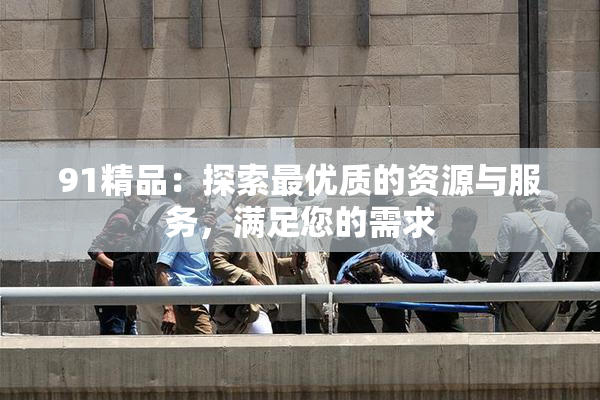91精品：探索最优质的资源与服务，满足您的需求