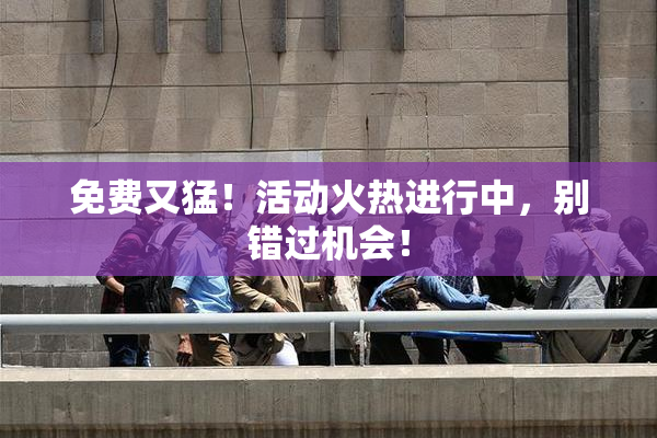 免费又猛！活动火热进行中，别错过机会！