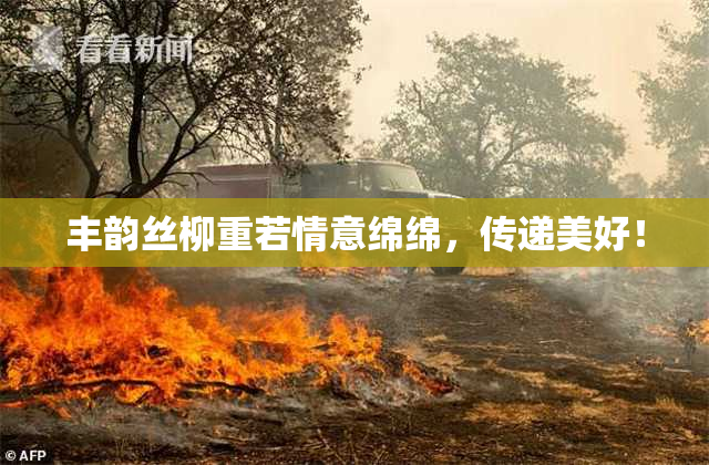 丰韵丝柳重若情意绵绵，传递美好！
