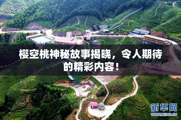 樱空桃神秘故事揭晓，令人期待的精彩内容！