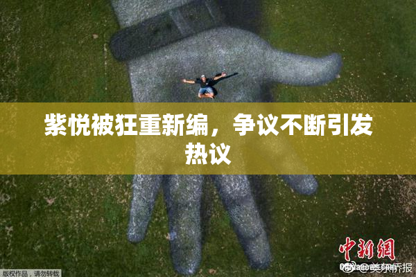 紫悦被狂重新编，争议不断引发热议