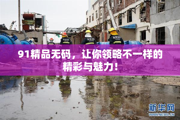 91精品无码，让你领略不一样的精彩与魅力！