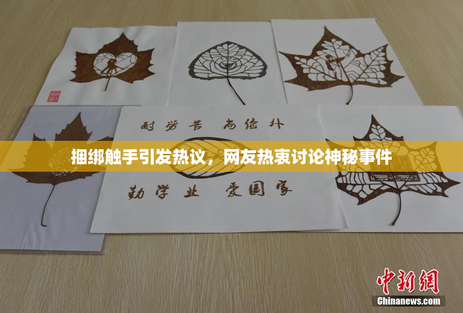 捆绑触手引发热议，网友热衷讨论神秘事件