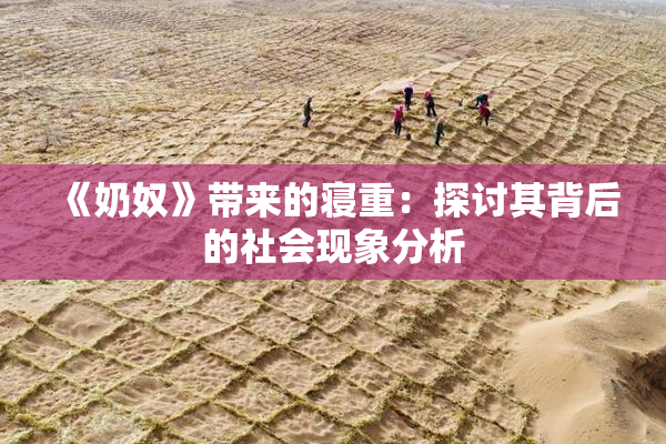 《奶奴》带来的寝重：探讨其背后的社会现象分析