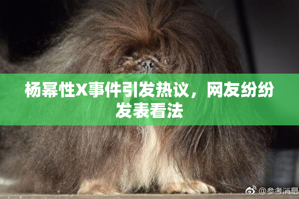 杨幂性X事件引发热议，网友纷纷发表看法