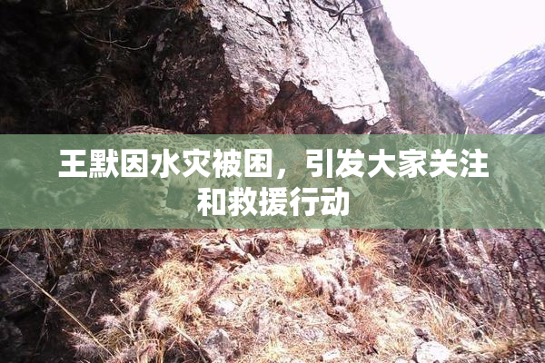 王默因水灾被困，引发大家关注和救援行动