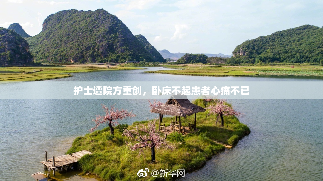 护士遭院方重创，卧床不起患者心痛不已