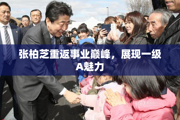 张柏芝重返事业巅峰，展现一级A魅力