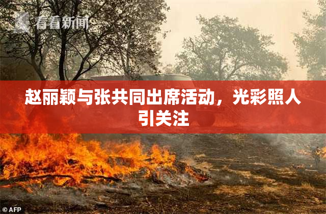 赵丽颖与张共同出席活动，光彩照人引关注