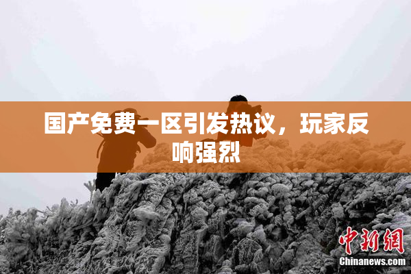 国产免费一区引发热议，玩家反响强烈