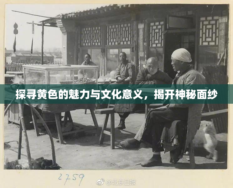 探寻黄色的魅力与文化意义，揭开神秘面纱