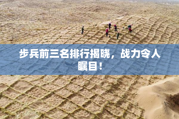 步兵前三名排行揭晓，战力令人瞩目！