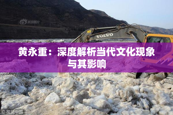 黄永重：深度解析当代文化现象与其影响