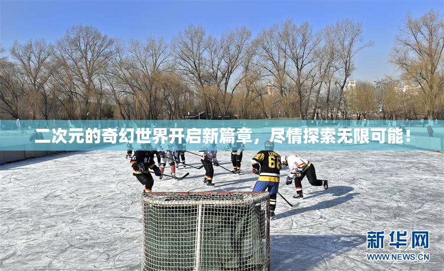 二次元的奇幻世界开启新篇章，尽情探索无限可能！