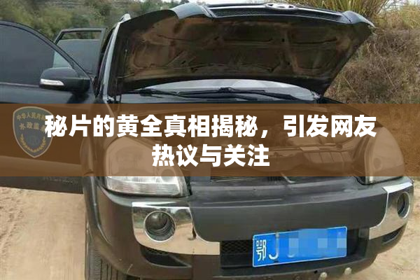 秘片的黄全真相揭秘，引发网友热议与关注