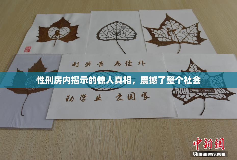 性刑房内揭示的惊人真相，震撼了整个社会