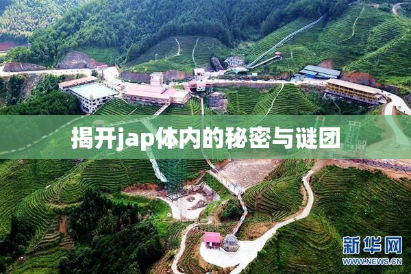 揭开jap体内的秘密与谜团
