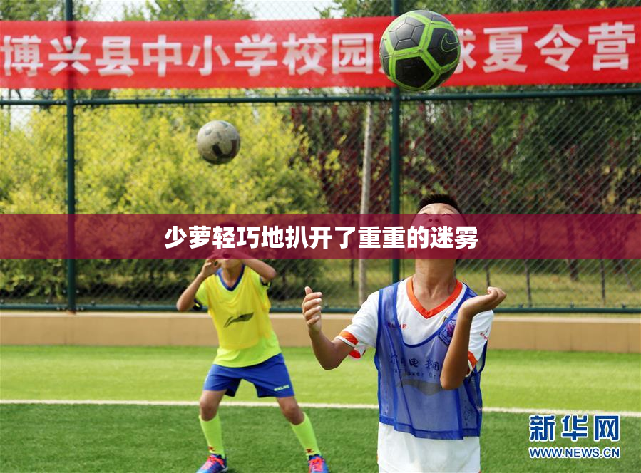 少萝轻巧地扒开了重重的迷雾