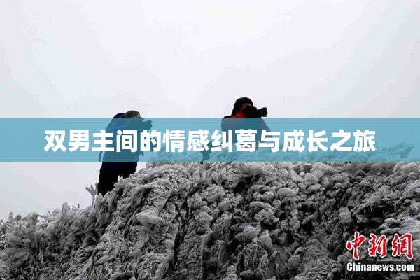 双男主间的情感纠葛与成长之旅