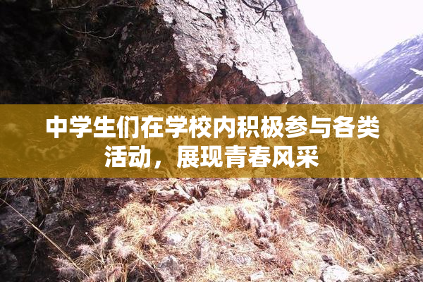 中学生们在学校内积极参与各类活动，展现青春风采