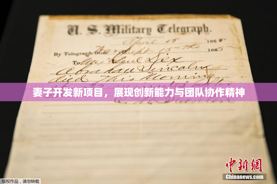 妻子开发新项目，展现创新能力与团队协作精神