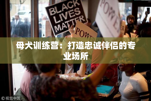 母犬训练营：打造忠诚伴侣的专业场所