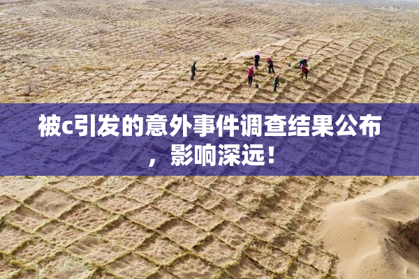 被c引发的意外事件调查结果公布，影响深远！