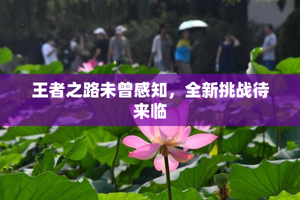 王者之路未曾感知，全新挑战待来临