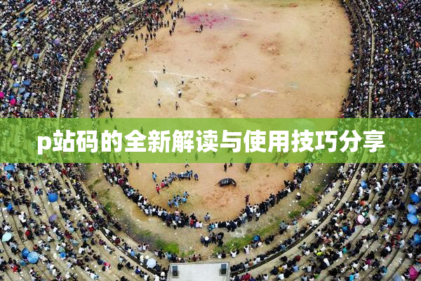 p站码的全新解读与使用技巧分享